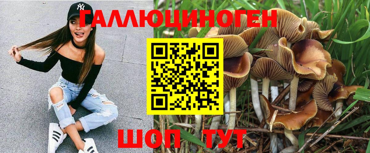 Псков  Галлюциногенные грибы ЛСД  Галлюциногенные грибы прущие грибы  сколько стоит  Вход с VPN 